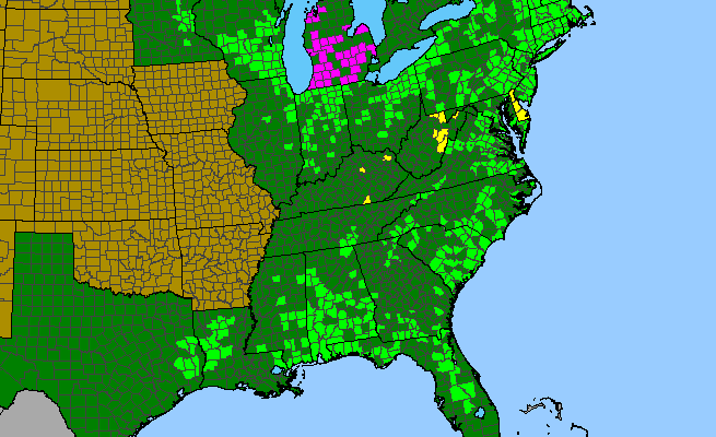The range of Toxicodendron vernix